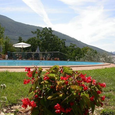 Agriturismo I Mandorli Trevi Eksteriør billede