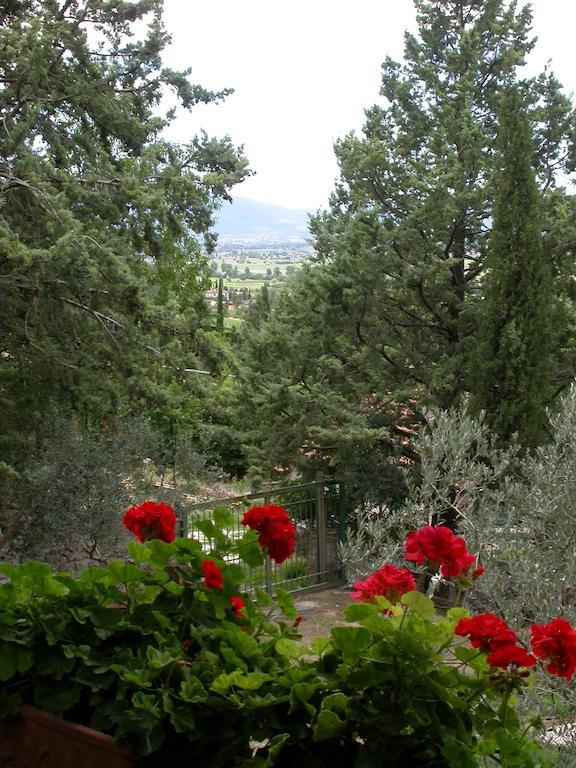 Agriturismo I Mandorli Trevi Eksteriør billede